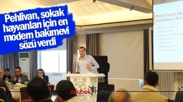 Pehlivan, sokak hayvanları i&ccedil;in en modern bakımevi s&ouml;z&uuml; verdi