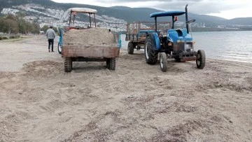 Plaj kumunu trakt&ouml;r r&ouml;morkuna doldururken yakalandılar