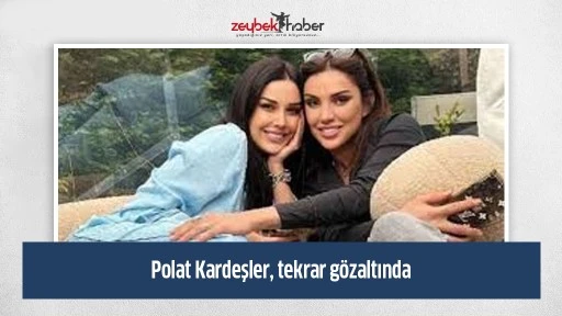Polat Kardeşler, tekrar g&ouml;zaltında