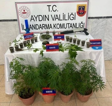 Saksıda 46 k&ouml;k kenevir ele ge&ccedil;irildi