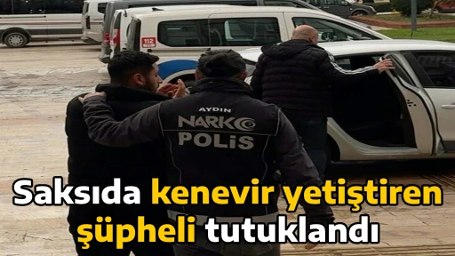 Saksıda kenevir yetiştiren ş&uuml;pheli tutuklandı