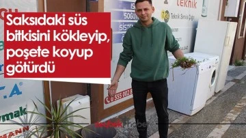 Saksıdaki s&uuml;s bitkisini k&ouml;kleyip, poşete koyup g&ouml;t&uuml;rd&uuml;