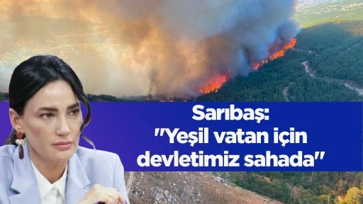 Sarıbaş: "Yeşil vatan i&ccedil;in devletimiz sahada"