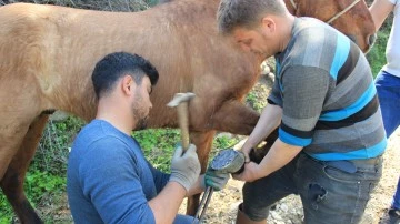 Sayıları her ge&ccedil;en g&uuml;n azalan nalbantlar zamanla yarışıyor
