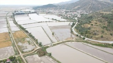 Sel, tarlaları sular altında bıraktı