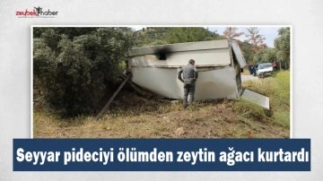 Seyyar pideciyi &ouml;l&uuml;mden zeytin ağacı kurtardı