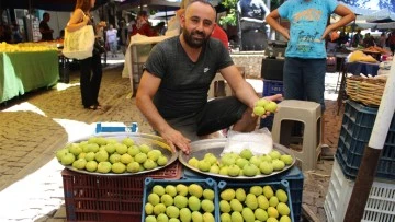 Sezonun ilk inciri pazar tezgahlarında yerini aldı
