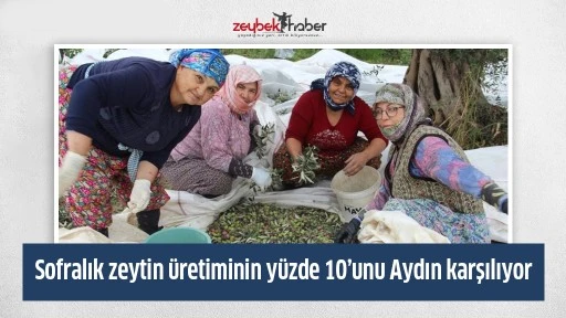 Sofralık zeytin &uuml;retiminin y&uuml;zde 10&rsquo;unu Aydın karşılıyor