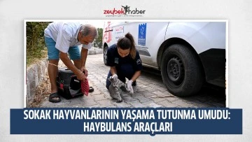 SOKAK HAYVANLARININ YAŞAMA TUTUNMA UMUDU: HAYBULANS ARA&Ccedil;LARI