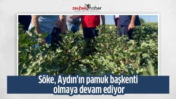 S&ouml;ke, Aydın'ın pamuk başkenti olmaya devam ediyor