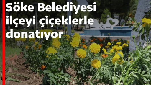 S&ouml;ke Belediyesi il&ccedil;eyi &ccedil;i&ccedil;eklerle donatıyor