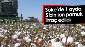 S&ouml;ke&rsquo;de 1 ayda 5 bin ton pamuk ihra&ccedil; edildi