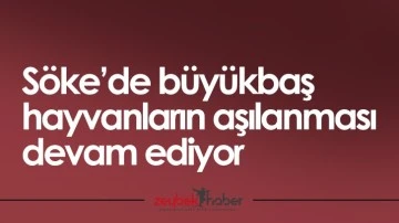 S&ouml;ke&rsquo;de b&uuml;y&uuml;kbaş hayvanların aşılanması devam ediyor