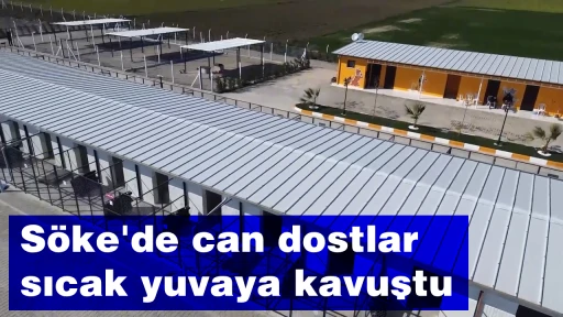 S&ouml;ke'de can dostlar sıcak yuvaya kavuştu  