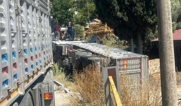 S&ouml;ke'de devrilen tırın şof&ouml;r&uuml; hayatını kaybetti
