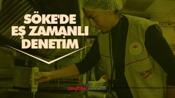 S&ouml;ke'de eş zamanlı denetim
