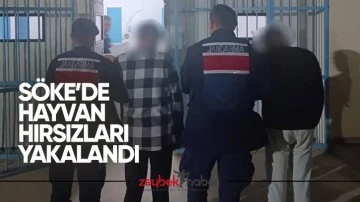 S&ouml;ke&rsquo;de hayvan hırsızları yakalandı