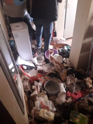S&ouml;ke'de 'hayvanlara k&ouml;t&uuml; muamele' iddiası