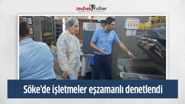 S&ouml;ke'de işletmeler eşzamanlı denetlendi