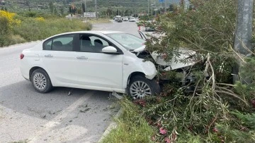 S&ouml;ke'de lastiği patlayan ara&ccedil; ref&uuml;jdeki aydınlatma direğine &ccedil;arparak durabildi