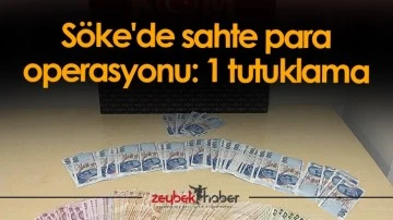S&ouml;ke'de sahte para operasyonu: 1 tutuklama