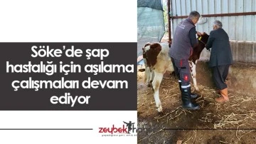 S&ouml;ke&rsquo;de şap hastalığı i&ccedil;in aşılama &ccedil;alışmaları devam ediyor