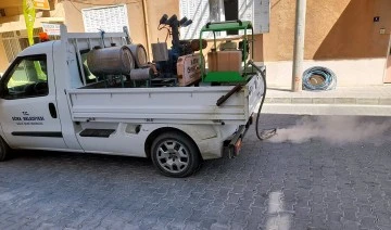 S&ouml;ke&rsquo;de Termal Sisleme ile haşere ve u&ccedil;kun m&uuml;cadelesi