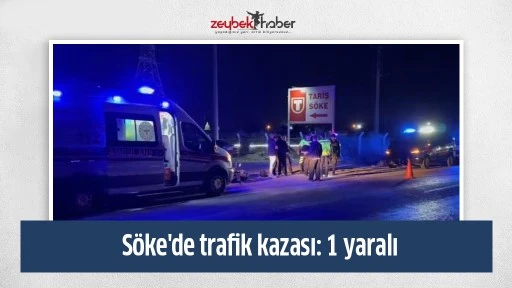 S&ouml;ke'de trafik kazası: 1 yaralı