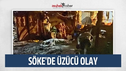 S&ouml;ke'de &Uuml;z&uuml;c&uuml; olay