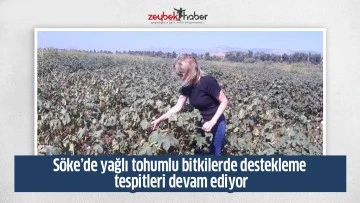 S&ouml;ke&rsquo;de yağlı tohumlu bitkilerde destekleme tespitleri devam ediyor