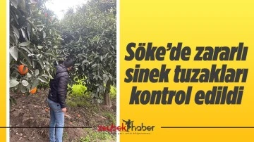 S&ouml;ke&rsquo;de zararlı sinek tuzakları kontrol edildi