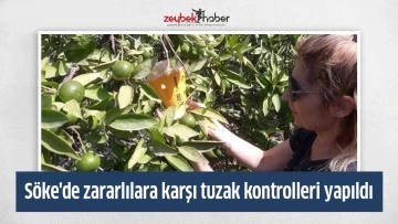 S&ouml;ke'de zararlılara karşı tuzak kontrolleri yapıldı