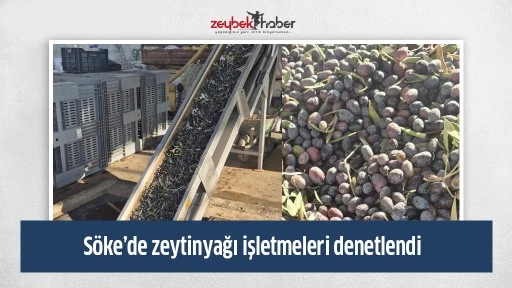 S&ouml;ke&rsquo;de zeytinyağı işletmeleri denetlendi