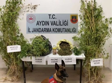 S&ouml;ke&rsquo;deki operasyonda 5 kilogram uyuşturucu ele ge&ccedil;irildi