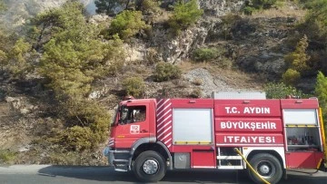 S&ouml;ke'deki yangında itfaiye ekipleri alevlerle m&uuml;cadele etti