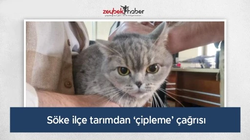 S&ouml;ke il&ccedil;e tarımdan &lsquo;&ccedil;ipleme&rsquo; &ccedil;ağrısı