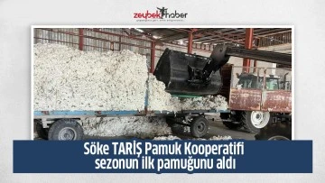 S&ouml;ke TARİŞ Pamuk Kooperatifi sezonun ilk pamuğunu aldı
