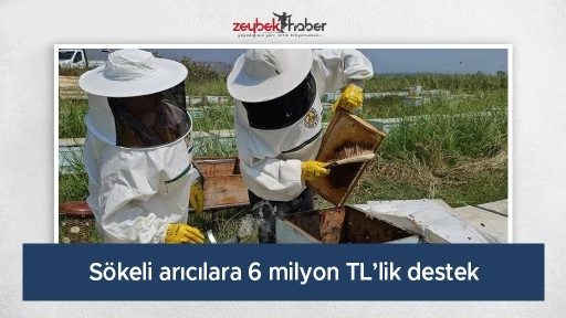S&ouml;keli arıcılara 6 milyon TL&rsquo;lik destek