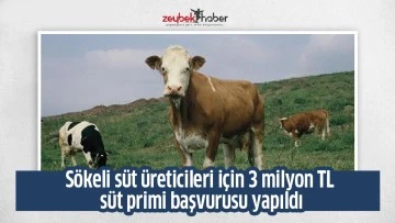 S&ouml;keli s&uuml;t &uuml;reticileri i&ccedil;in 3 milyon TL s&uuml;t primi başvurusu yapıldı