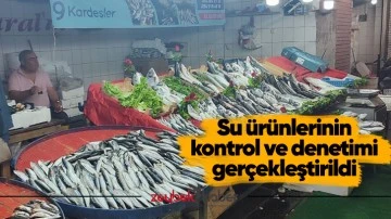 Su &uuml;r&uuml;nlerinin kontrol ve denetimi ger&ccedil;ekleştirildi