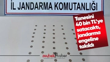 Tanesini 40 bin TL&rsquo;ye satacaktı, jandarma engeline takıldı
