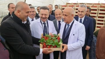 Tarım ve Orman Bakanı Kirişci: "&Ouml;rt&uuml; altı sera alanı 811 bin dekara &ccedil;ıktı"