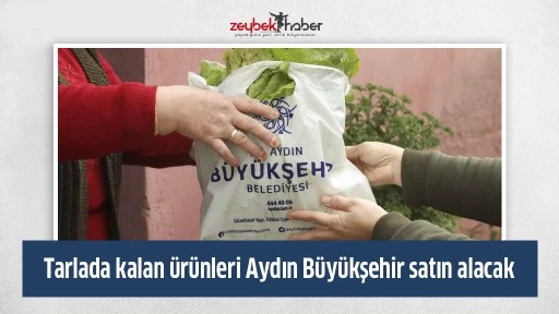 Tarlada kalan &uuml;r&uuml;nleri Aydın B&uuml;y&uuml;kşehir satın alacak