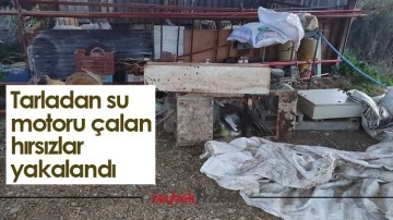 Tarladan su motoru &ccedil;alan hırsızlar yakalandı