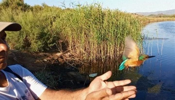 Tedavisi tamamlanan yalı&ccedil;apkını, &ouml;zg&uuml;rl&uuml;ğe kanat &ccedil;ırptı