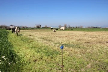 Teknoloji &ccedil;obanları işsiz bırakıyor