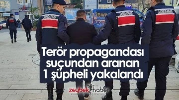Ter&ouml;r propagandası su&ccedil;undan aranan 1 ş&uuml;pheli yakalandı