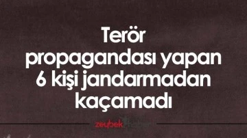 Ter&ouml;r propagandası yapan 6 kişi jandarmadan ka&ccedil;amadı