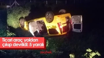 Ticari ara&ccedil; yoldan &ccedil;ıkıp devrildi: 5 yaralı