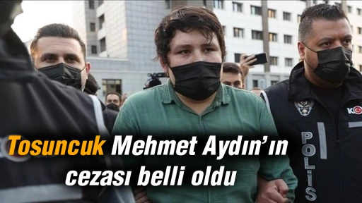 Tosuncuk Mehmet Aydın&rsquo;ın cezası belli oldu